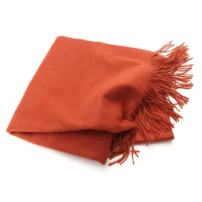 Women Wint Scarf Super Soft Cashmere Shawl 1